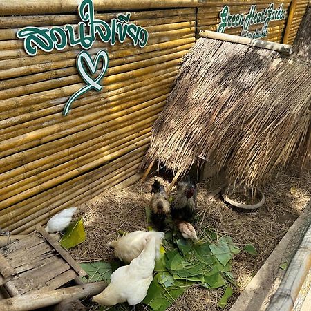 Greenheart Garden View Camp Phuket カタビーチ エクステリア 写真