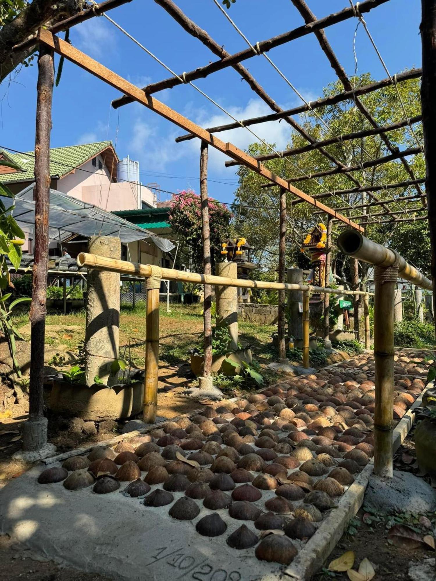Greenheart Garden View Camp Phuket カタビーチ エクステリア 写真