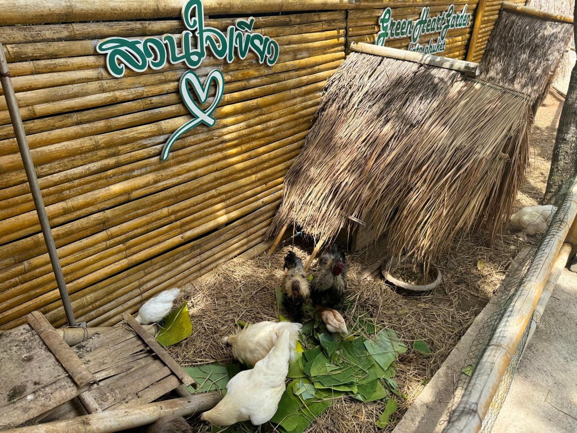 Greenheart Garden View Camp Phuket カタビーチ エクステリア 写真